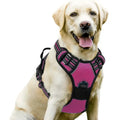 QUCHONPET Dog Harness No Pull with 2 Leash Clips Adjustable Soft Padded Reflective Oxford No Choke Pet Vest with Easy Control