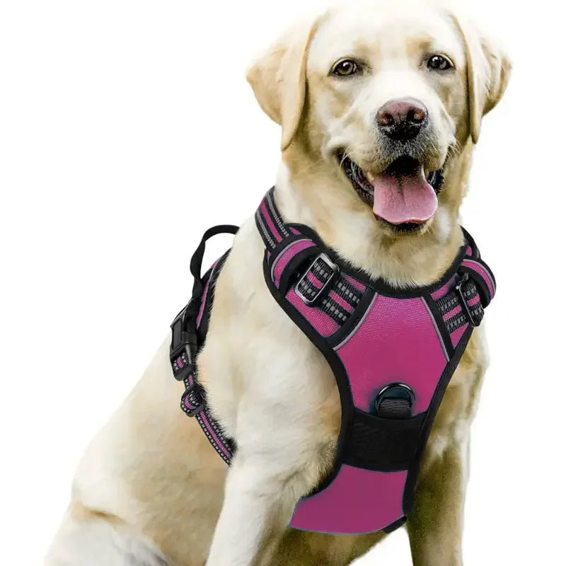 QUCHONPET Dog Harness No Pull with 2 Leash Clips Adjustable Soft Padded Reflective Oxford No Choke Pet Vest with Easy Control