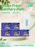 Niceday E-commerce Hot Sale Women's Daily Use Pad Negative Ion Panty Liner