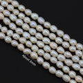 High Quality 3-4mm Rice Oval Natural Freshwater Pearls White Color AAAAA Grade Wholesale for Jewelry Making