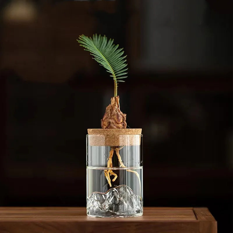 Mountain Design  Glass Terrarium Hydroponic Plant Bottle Planter with Wooden Cork Lid for Water Plant Planting