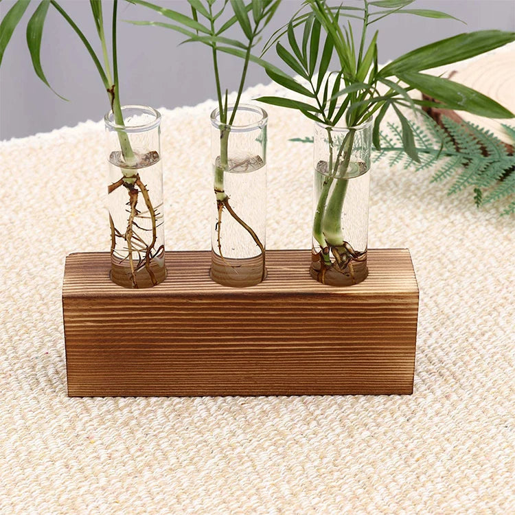 Brown Hand Carved Modern Classic Pine Wood Air Plant Holder Stand with Glass Flower Pot and Bulb Vase for Desktop/Wall Mount