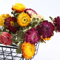 2020 New Style Preserved Flower Gifts Eternal Life Flowers Straw Chrysanthemums