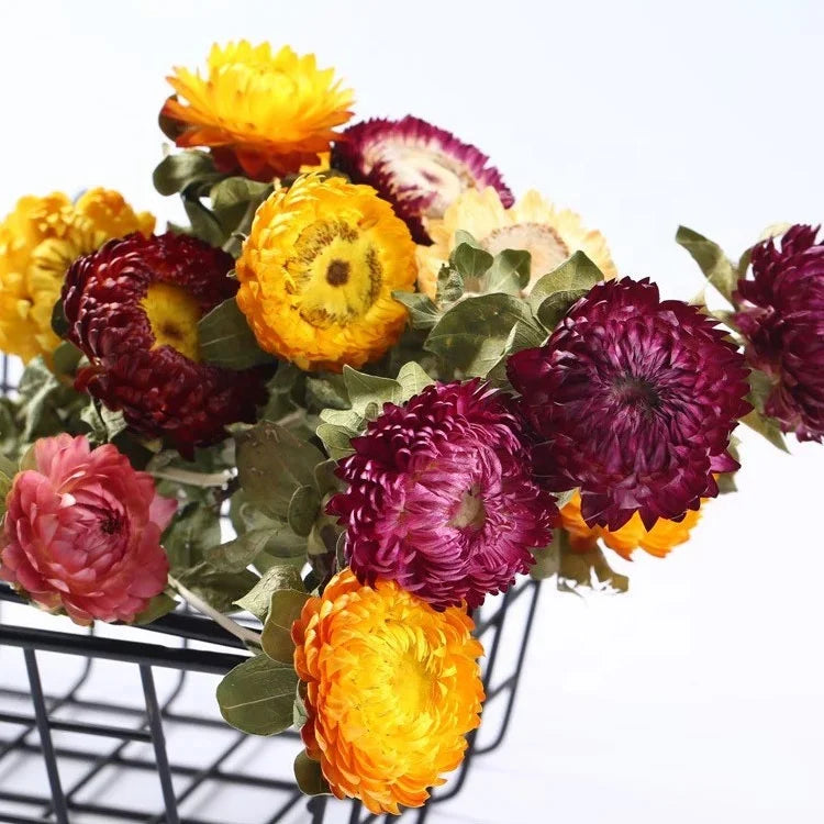 2020 New Style Preserved Flower Gifts Eternal Life Flowers Straw Chrysanthemums