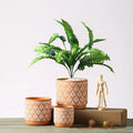 New Custom Wholesale Outdoor Garden Round Cylinder Terracotta Ceramic Succulent Planter Plant Flower Pots