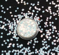 1000g Star Nails Glitter Long Last Glowing Noctilucent Leuchtend Nail Painting Nails Accessories MegaBDM