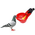 Birds Drinkers Plastic Bird Water Drinker Automatic Bird Quail Pigeon Drink Water Cup Chicken Water Drinker for Sale