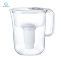Capacity Alkaline Ionizer Water Pitcher Purifier with Filter Remove Chlorine Heavy Metal Bacteria Wholesale 10 Cup Color Box