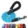 Modern Comfortable Padded Handle Dog Leash Waterproof Nylon with Highly Reflective Threads Solid Pattern for Pet Dogs