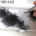 Lashes Loose Promade Fans 0.05 0.03 8d 9d 10d 12d 13d 14d 16d 18d 20d 3D - 6d 7d  0.7 Premade Volume Fans  Eyelash Extension