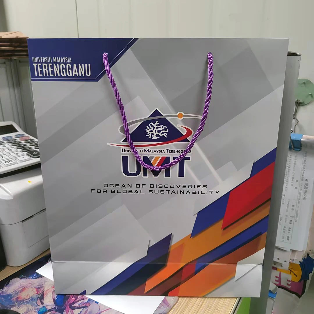 Custom Printed Luxury Shopping Paper Bag for Clothing Retail Gift Jewelry Promotion