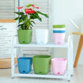 Modern Home Decor Indoor Plastic Plant Pots with Drainage Cactus Succulents Flower Pot Floor Usage Garden Application