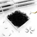 Abonnie C D Curl Mink Pointy Base 1000 Mixed 8-18Mm 14D Loose Premade Volume Fans Promade Lash Extension Fans