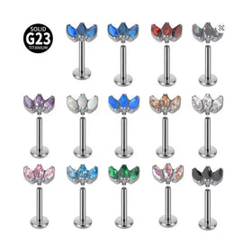 Wholesale Custom Titanium Piercing F136 Internally Threaded Marquise Fan Top Labret Ring Trendy Body Jewelry for Wedding Gift