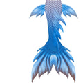 Hot Sale Adult Unisex Swimsuit Breathable Reversible Mermaid Tail with Monofin Flipper 2-Piece Bikini Print for Swimming