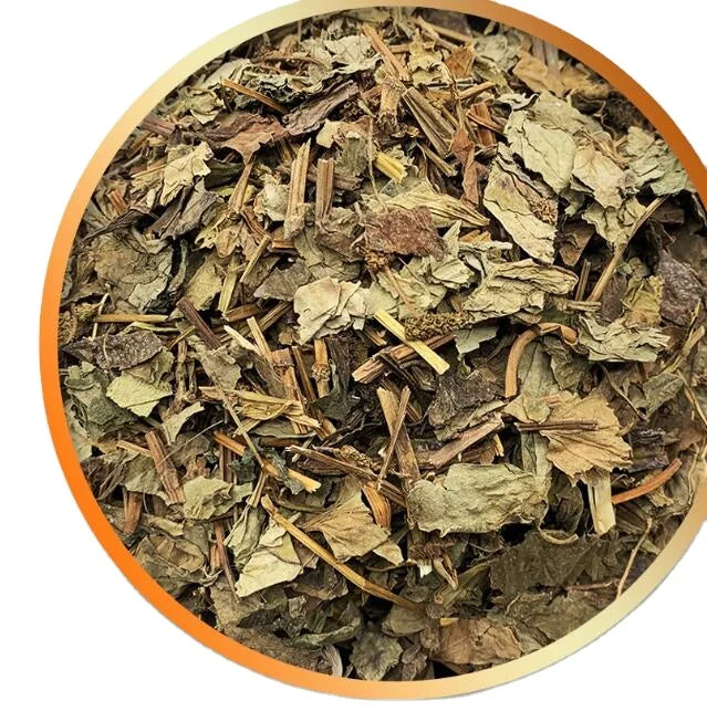 Natural HERBA HOUTTUYNIAE Stem Leaf Dried Houttuynia Cordata Aboveground Parts for Herb