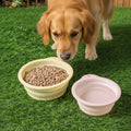 Wholesale Outdoor Portable Silicone Collapsible Cat Dog Bowl