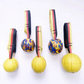 2024 Hot Sale Hollow Design Dog Training Flying Disc EVA Water Floating Interactive Pet Cat Dog Toys