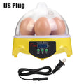 HDD Cheap Egg Incubator Sample Piece in UAE 7 Egg Incubator