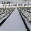 Tomato Greenhouse Hydroponic Plant Growth System 20X30cm 0.8mm Thickness Black/white PP Growing Gutter with Drain Spacer