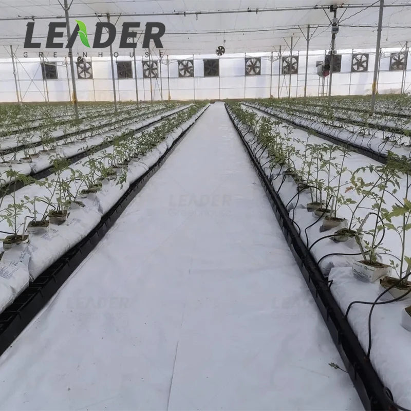 Tomato Greenhouse Hydroponic Plant Growth System 20X30cm 0.8mm Thickness Black/white PP Growing Gutter with Drain Spacer