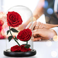 Christmas Valentine's Mother's Day Thanksgiving Gifts Eternal Preserved Rose Two Roses Durable Glass Dome Gift Box for Women