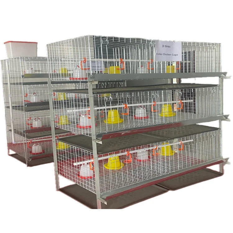Durable Galvanized H Type Layer Chicken Cage System for Large-Scale Poultry Farming