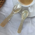 Luxurious Black Mother of Pearl Spoon Cosmetic Spatula Caviar Spoon Made in Vietnam