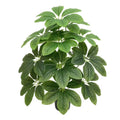 18 Heads of Artificial Greenery Faux Turtle Back Leaves Gardening Plant Wall Home Decoration Plastic Potted Plants Money Tree