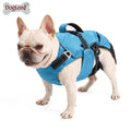 3-in-1 High Quality Multi-Functional Polyester Pet Harness Vest Collar Leash Set for Small Puppies Dogs