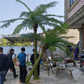 Customized 10FT Tall Plastic Palm Tree Different Types of Artificial Plants