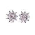 Classic 925 Sterling Silver Jewelry Loose D VVS Moissanite Synthetic Gemstone Earrings for Women
