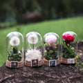 Ychon Preserved Flowers Dandelion Carnation Wishing Bottle Never Withered Home Decor Gift for Women Mother's Day Thanksgiving