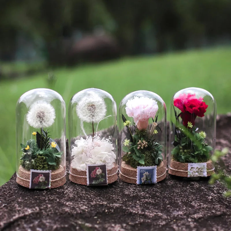 Ychon Preserved Flowers Dandelion Carnation Wishing Bottle Never Withered Home Decor Gift for Women Mother's Day Thanksgiving