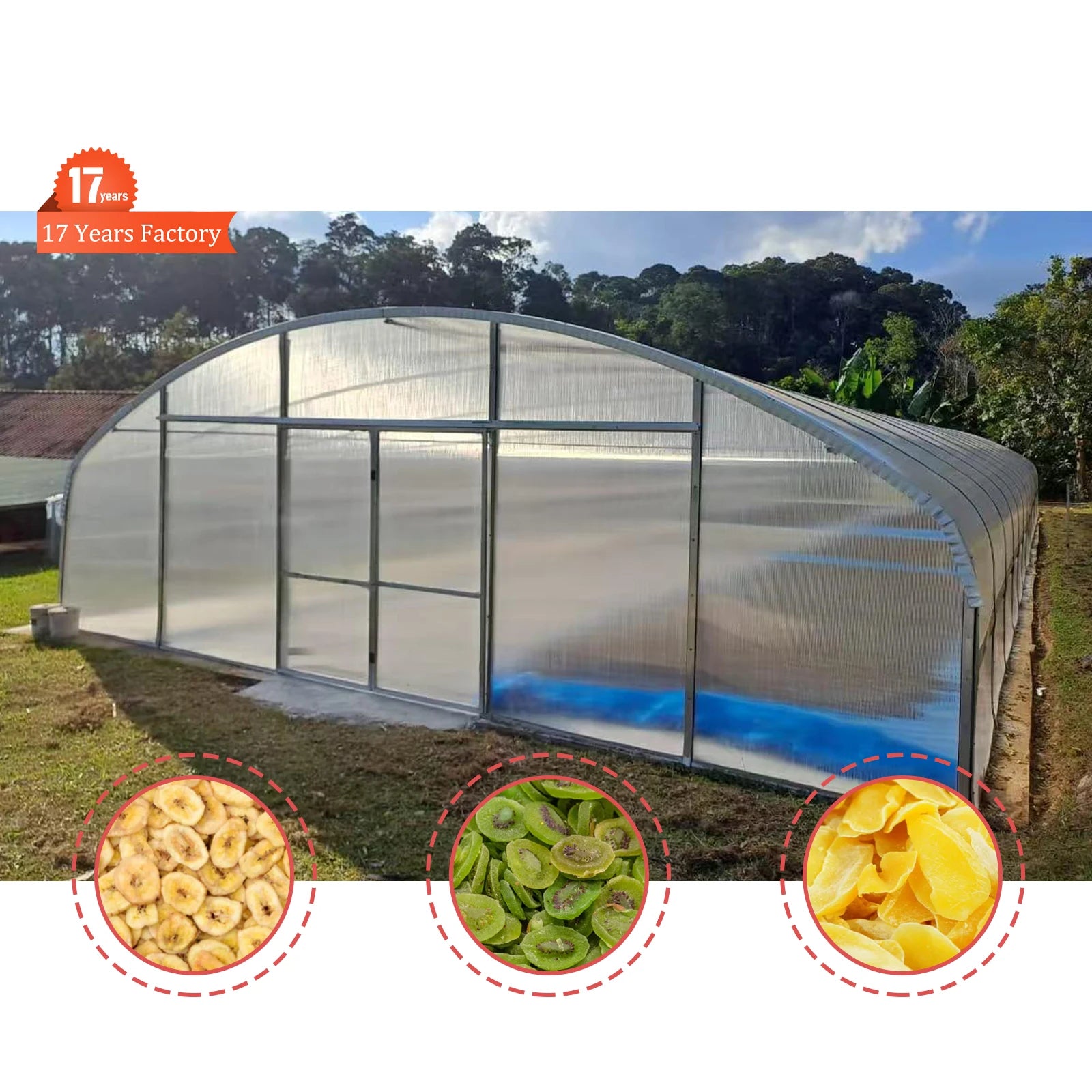 Agriculture PC Green House Tunnel Fish Dryer Greenhouse Solar Dryer