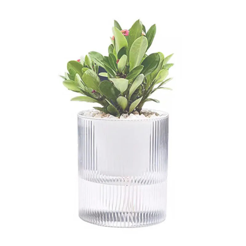 Clear Self Watering Plastic Flower Pot Indoor Decorative Plant Pot Planter Automatic Water Pots