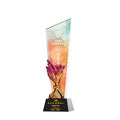 New Design Crystal Awards Color Printed Crystal Trophy