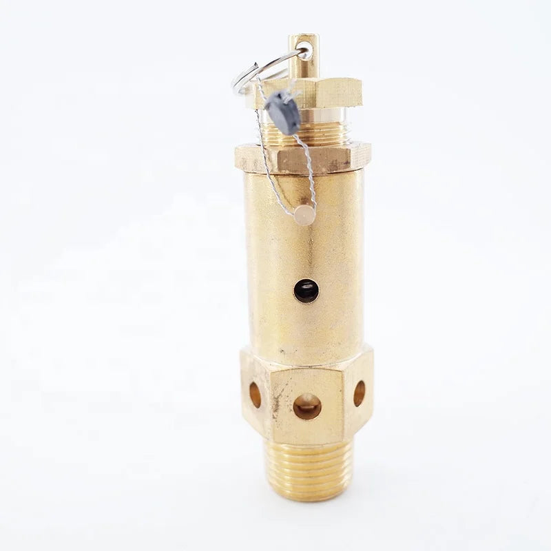Air 4 Way 2 Position Oxygen Generator Solenoid Valve G 1/4" 12V 24V 220VAC  Control Gas Pressure Regulator