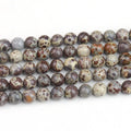 New Wholesale Natural Asteroid Jasper Stone Beads Strand for Gemstone Diy Jewelry Making 8mm 6mm 10mm