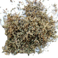 Wholesale Natural Dried Dried Euphorbia Humifusa Plants Spotted Spurge Euphorbia Maculata Herb