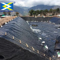 Factory Price HDPE Geomembrane / Plastic Liner / Hdpe Dam Line Pond Lining for Shrimp Farm MegaBDM