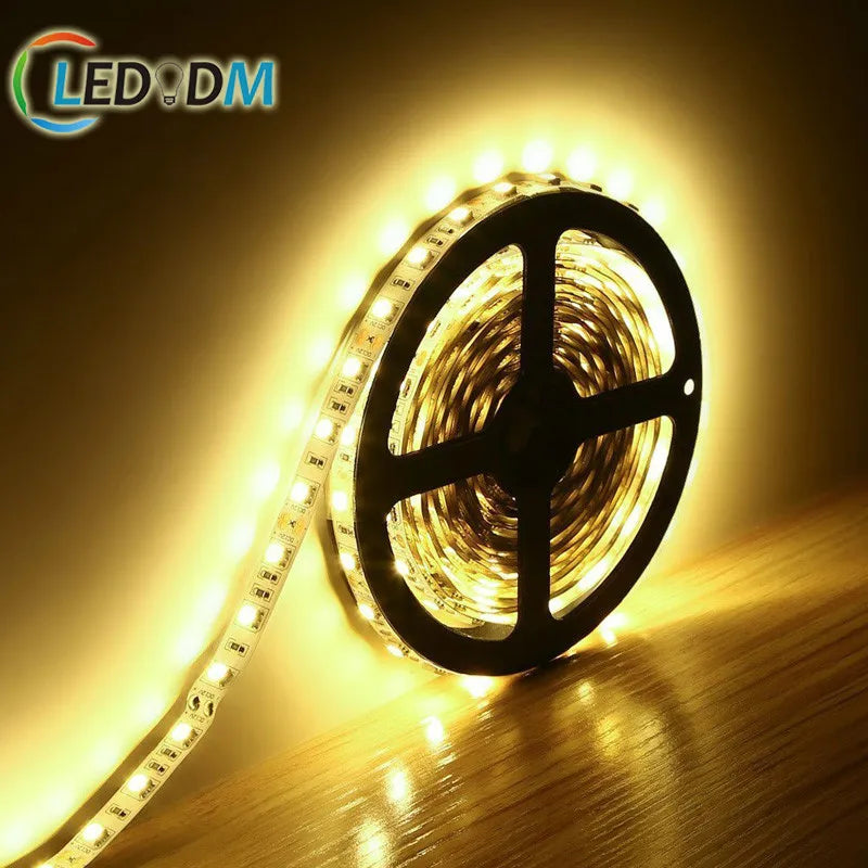 High Lumen 5050 IP68 Waterproof 12V Light 60 LEDs 5050 Strip Light White Warm White 2700k 3000k 6500k Led Stripe Rope Light