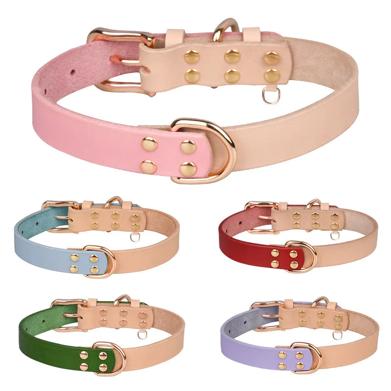 Wholesale Tag Plate for Laser Leather Dog Collar Luxury Vegan