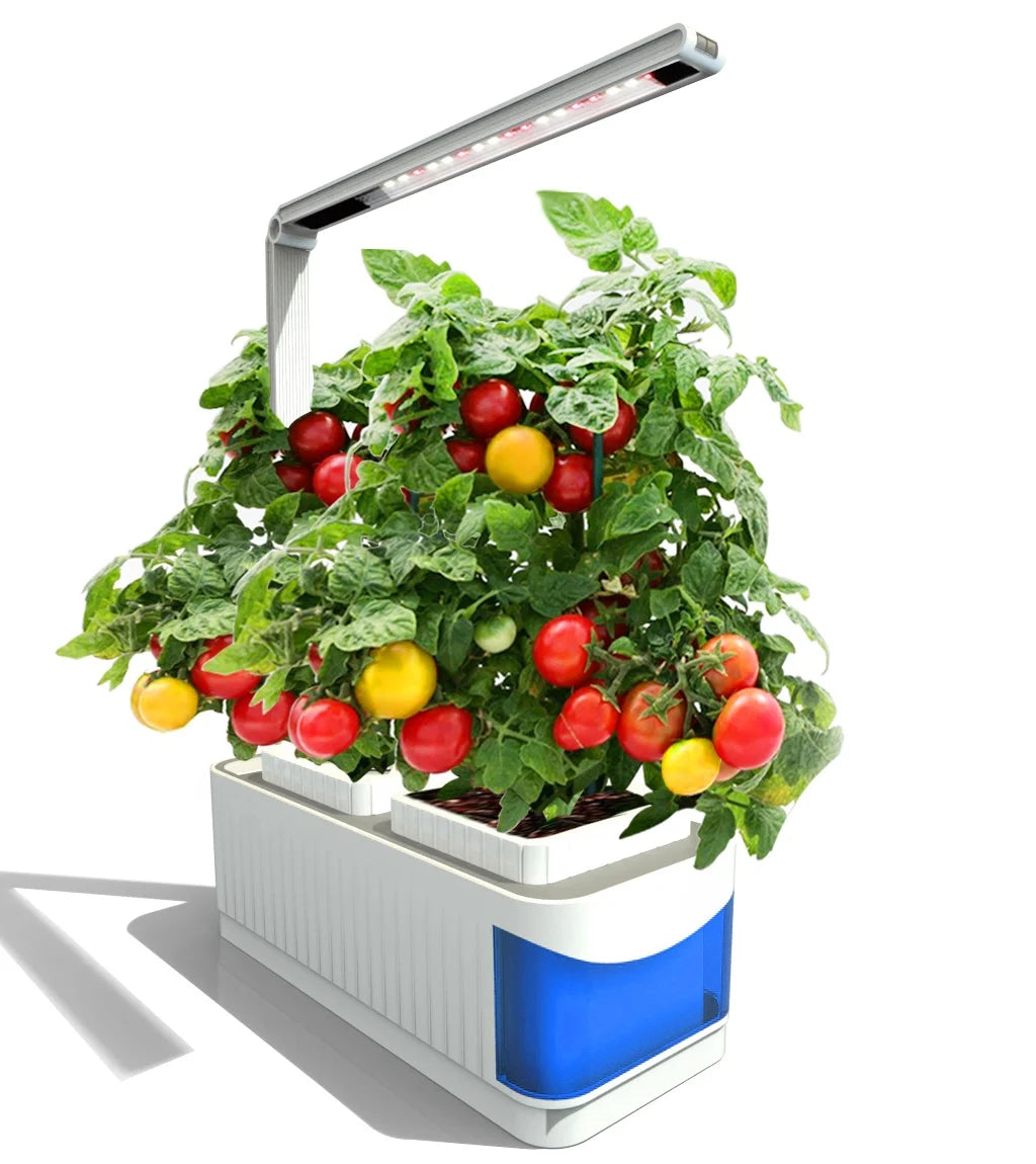 Indoor Smart Garden Hydroponic Mini Smart Garden for Plants with Timer