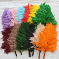 C161 Preserved Flower Natural Fern Leaves 10 Pieces Per Bunch Available in a Variety of Colors DIY Wedding Decoration