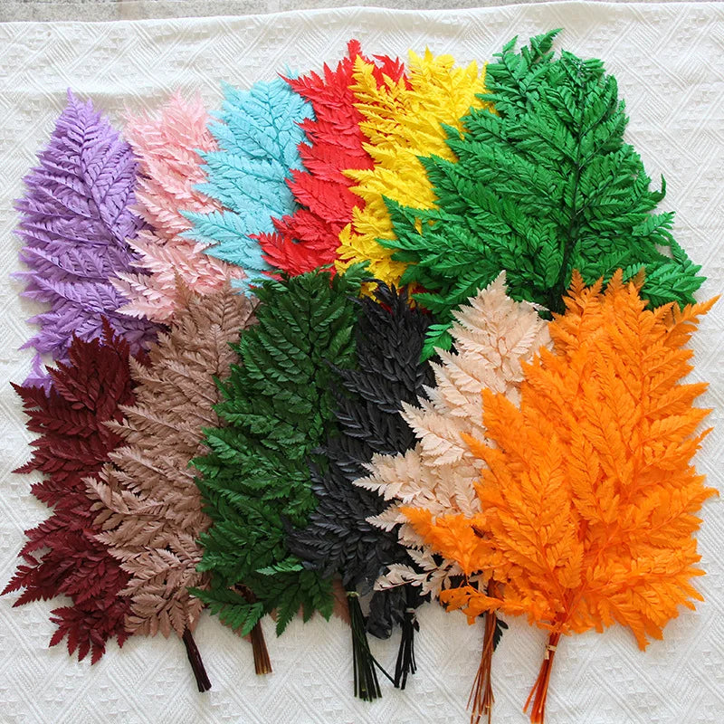 C161 Preserved Flower Natural Fern Leaves 10 Pieces Per Bunch Available in a Variety of Colors DIY Wedding Decoration