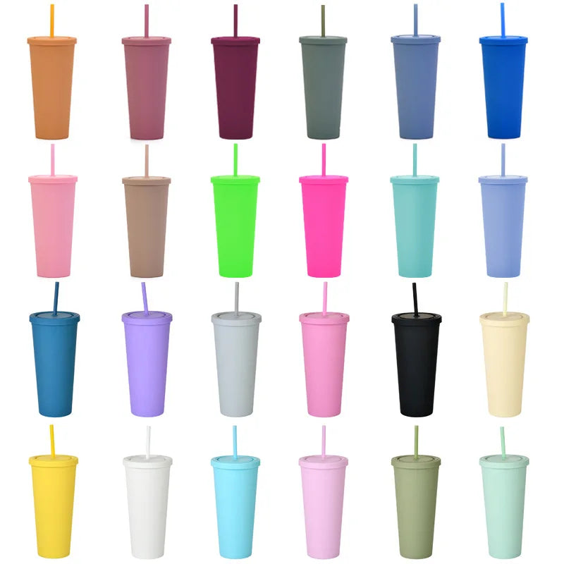Wholesale Hot Selling 22oz Double Wall Acrylic Matte Tumbler Plastic Tumbler Cup in Bulk With Lid and Straw