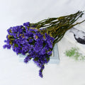 Sale China Wholesale Price Real Fresh Natural Preserved Flowers and Plants Forget Me Not Flower