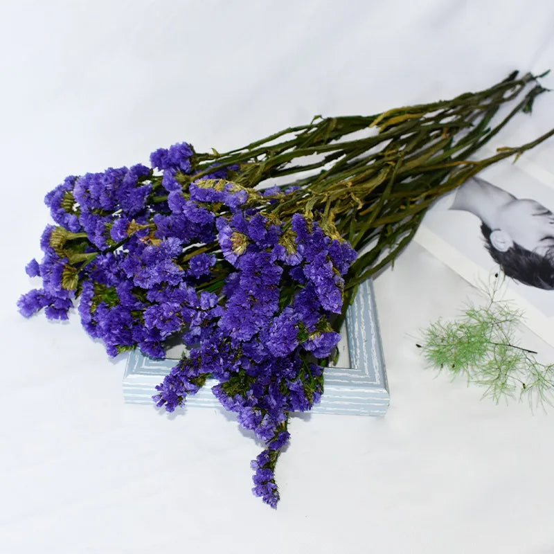 Sale China Wholesale Price Real Fresh Natural Preserved Flowers and Plants Forget Me Not Flower