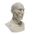 Customized Steel Alloy Stainless Steel Industrial Metal 3d Printing or Printer Service